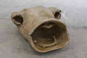 7-Misellathum Pharallelus, 2013, plaster and jaw's shark