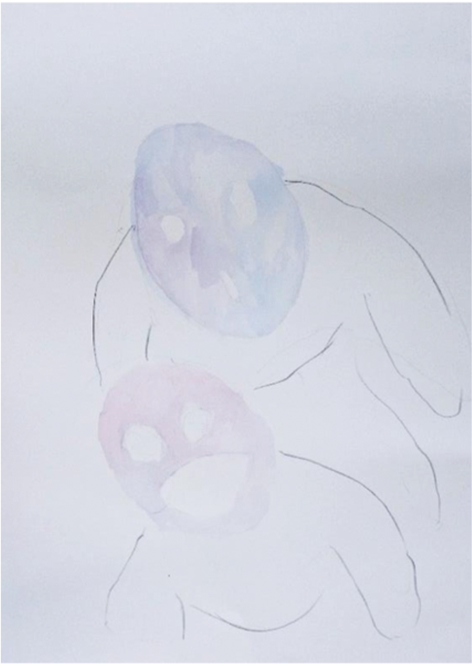 2016
Graphite ans Walter on paper
38 x 28 cm
Résidence pour ART TONIC 2016